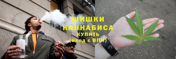 сатива Армянск