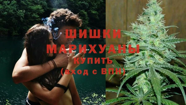 ПСИЛОЦИБИНОВЫЕ ГРИБЫ Арсеньев