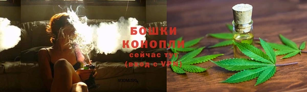 сатива Армянск