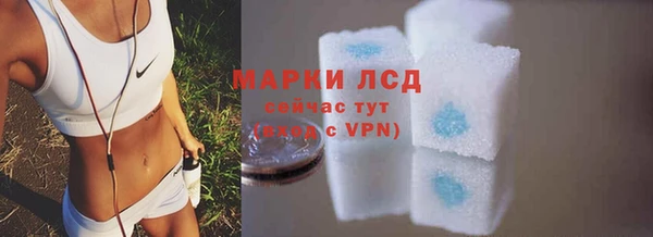 ПСИЛОЦИБИНОВЫЕ ГРИБЫ Арсеньев