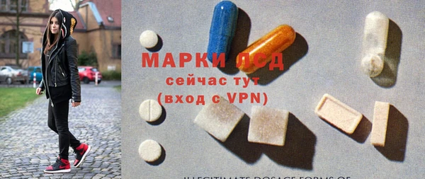 прущие грибы Алапаевск