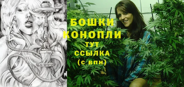 ПСИЛОЦИБИНОВЫЕ ГРИБЫ Арсеньев